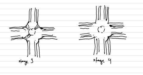 girdling branches continued