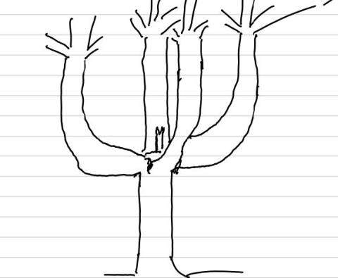 girdling branches