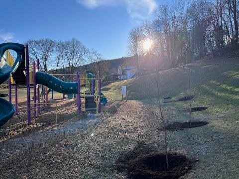 Trees planted at Northfield Elementary 