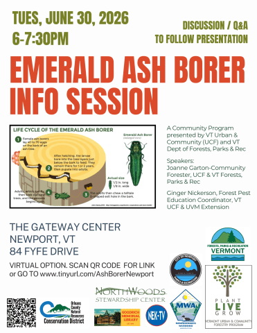 Poster advertising event in Newport on June 30