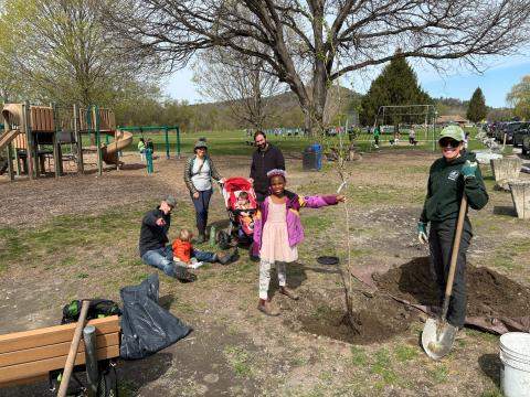 A group of people plant a new tree in a playground.