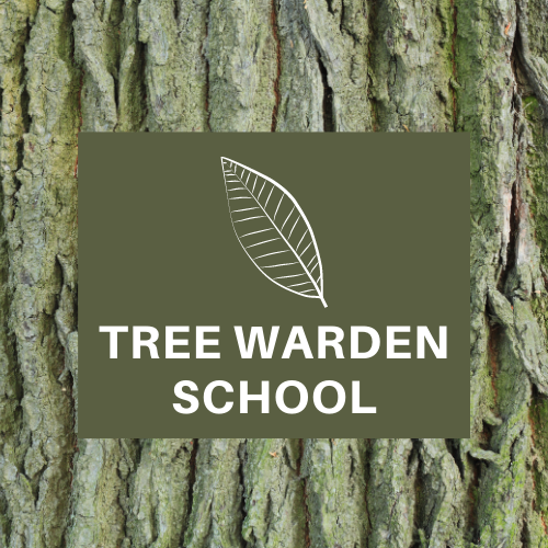 Tree Warden School Logo