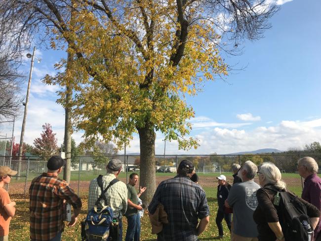 Tree Warden Summit Middleburry 2021