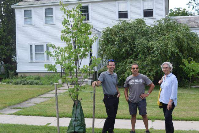 Middlebury EAB Management Project 