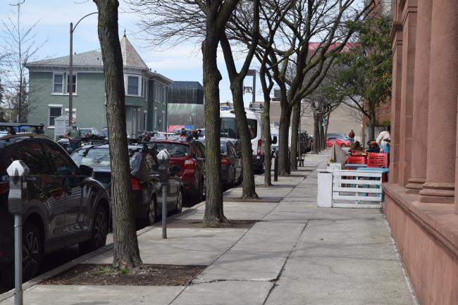 Trees on sidewalk in Burlington