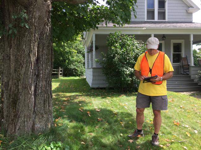 Tree Inventory in Waterbury