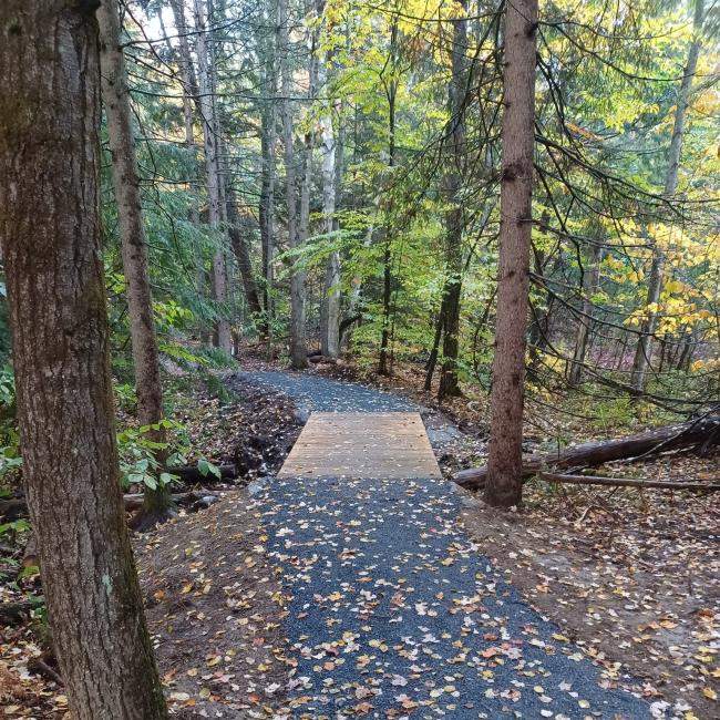 Wide accessible bridge on a trail through forest