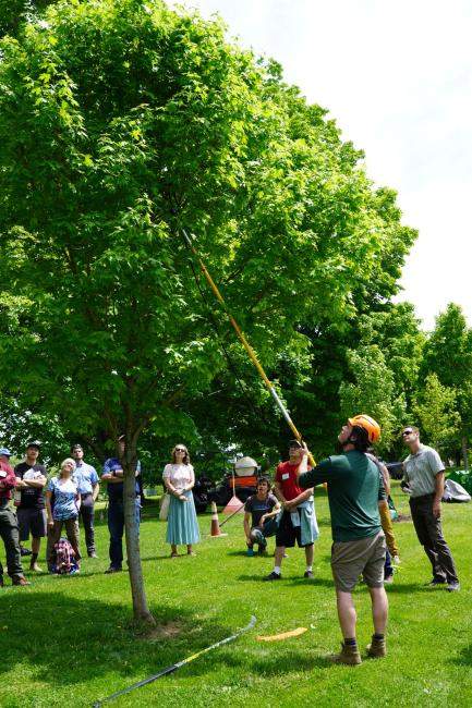 Urban & Community Forestry Conference, Pruning Workshop