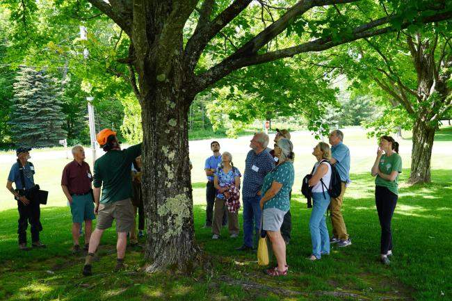 Urban & Community Forestry Conference, Pruning Workshop