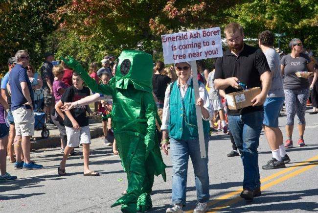 Two people marching in parade. Person on left in shiny green emerald ash borer costume. Person on right holding sign saying "emerald ash borer is coming to a town near you!"