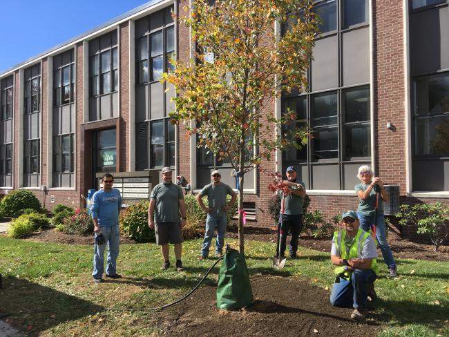 Rutland tree planting