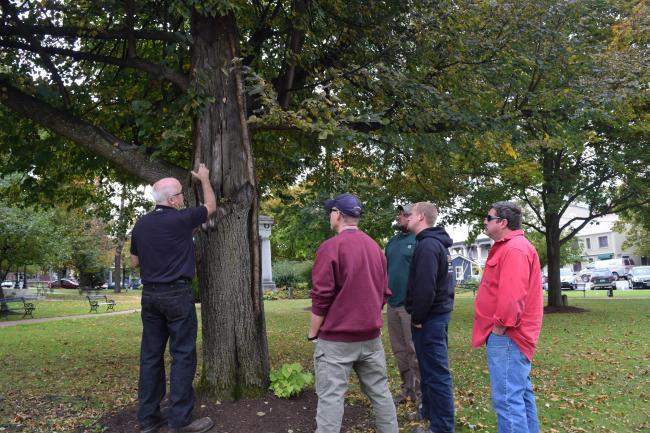 Risk tree assessment