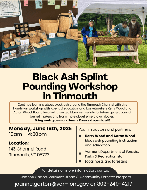 Poster for June 16th black ash pounding workshop