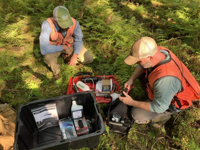 Forest Health Program staff Liam Farley and Andrew Hirsch prepare to inject the black ash trees.