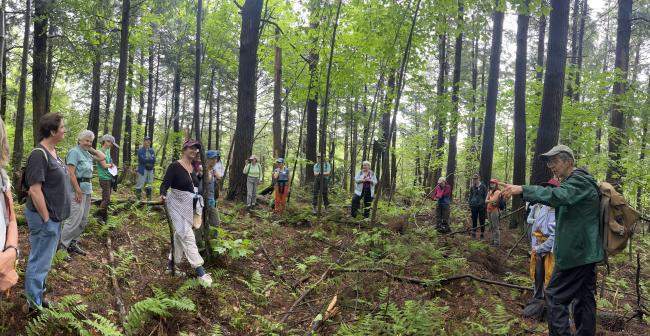 Women and Our Woods Old Forest Group Tour 2024