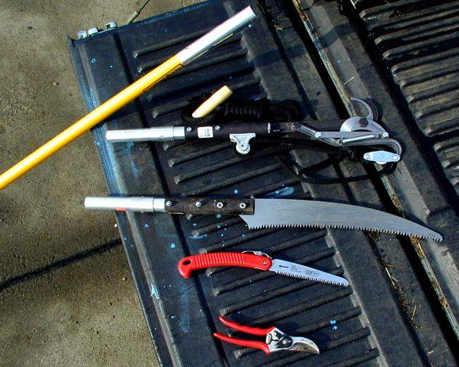 Pruning tools 