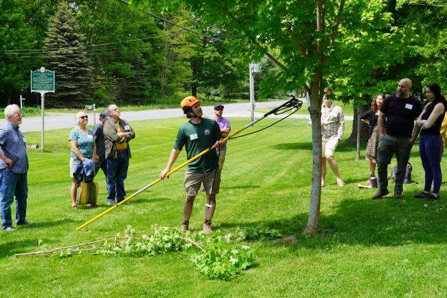 Pruning demonstration