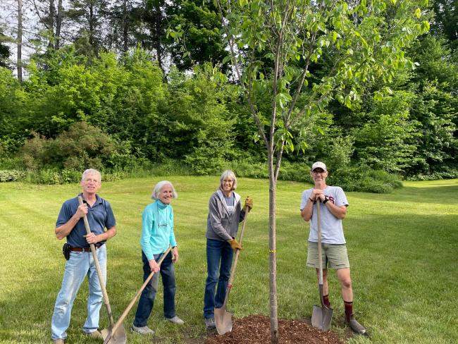 Burke Tree Planting