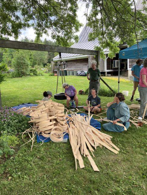 Black ash splints pounded in Tinmouth, VT 2025