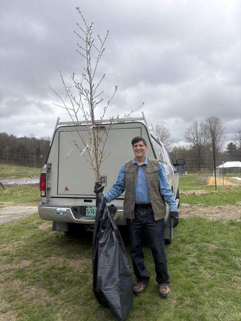Williamstown Tree Warden stands in front of his truck with a UCF Nursery Tree