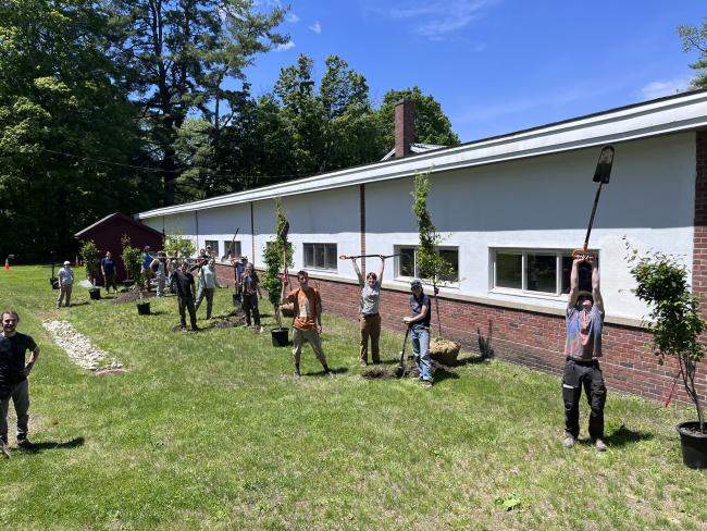Many enthusiastic students planting trees together in the sun.