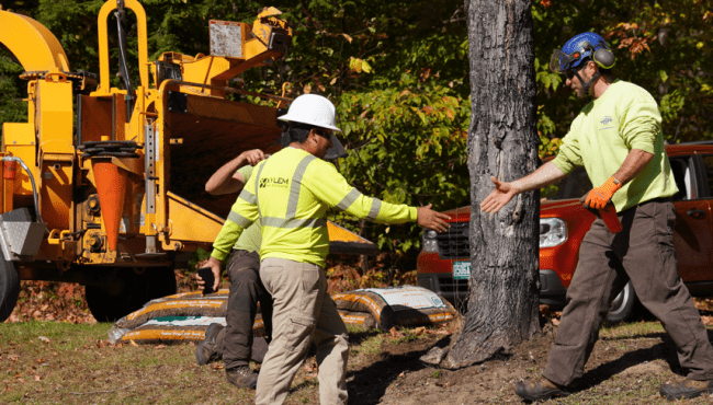 Two arborists shake hands at the 2025 VT Arborist Day of Service.