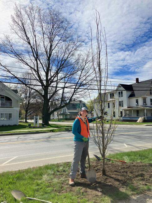 person standing next to newly planted tree