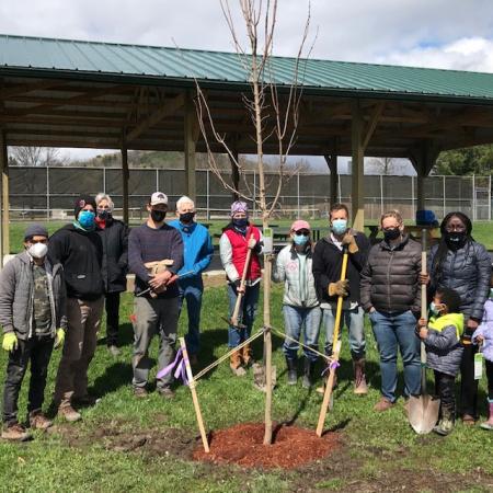 Middlebury Tree Planting