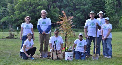 Volunteer Group. Johnson tree board