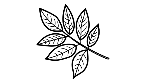  icon compound leaf