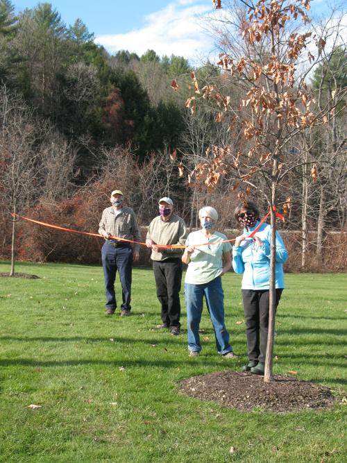 Waterbury Tree Committee tree planting