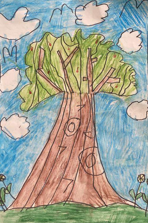 Grade 1 Sage Williams