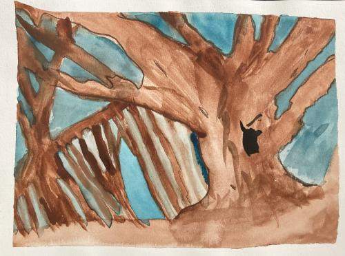 Grade 3 Jasper Lawrence 