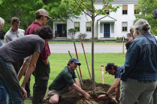 Urban & Community Forestry Conference, Tree Planting Workshop