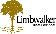 Limbwalker Logo