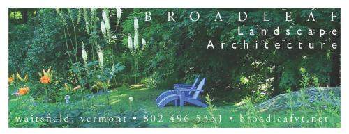 Broadleaf logo