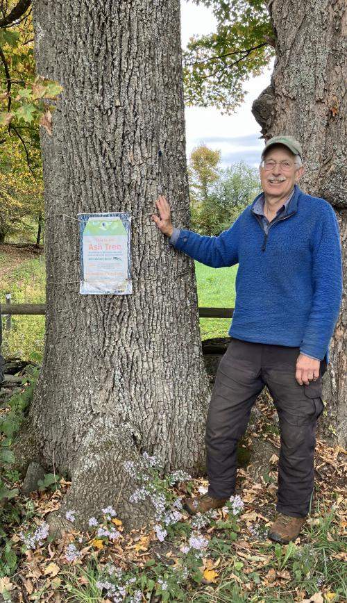 Paul Cate with ash tree