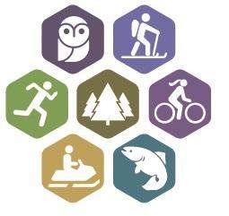 Town forest recreation logo