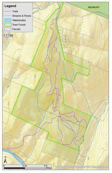 Bradford town forest map