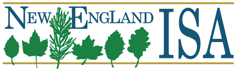 new england isa logo