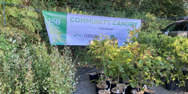 Community Canopy Trees