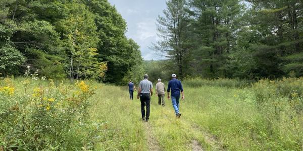 Andrews Town Forest