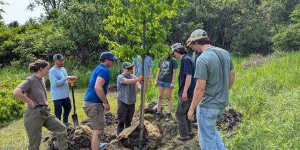Tree planting at Hinesburg's public library