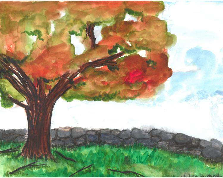 Growing Works of Art 2019 William Burkholder