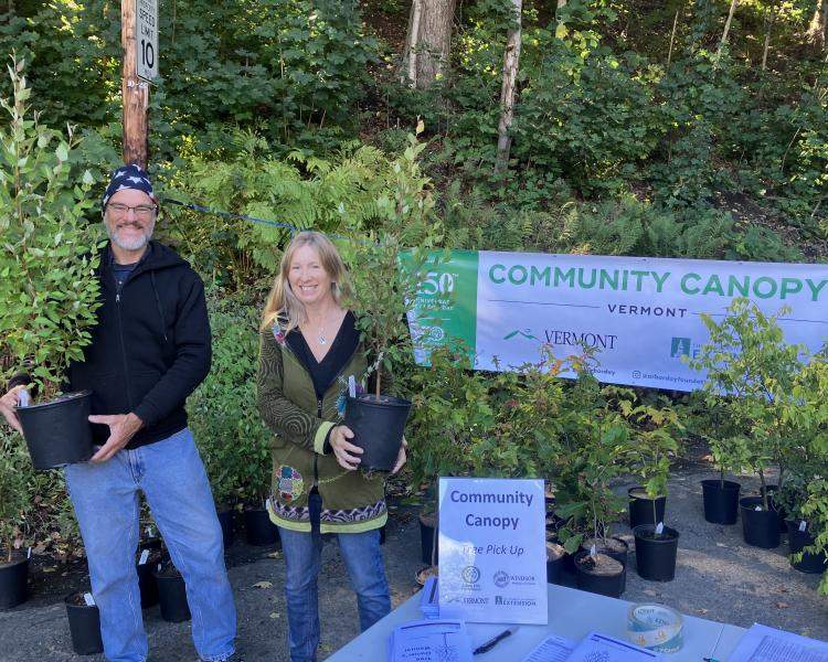 Tree Pick Up Event in Windsor