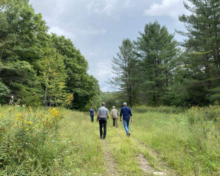 Andrews Town Forest