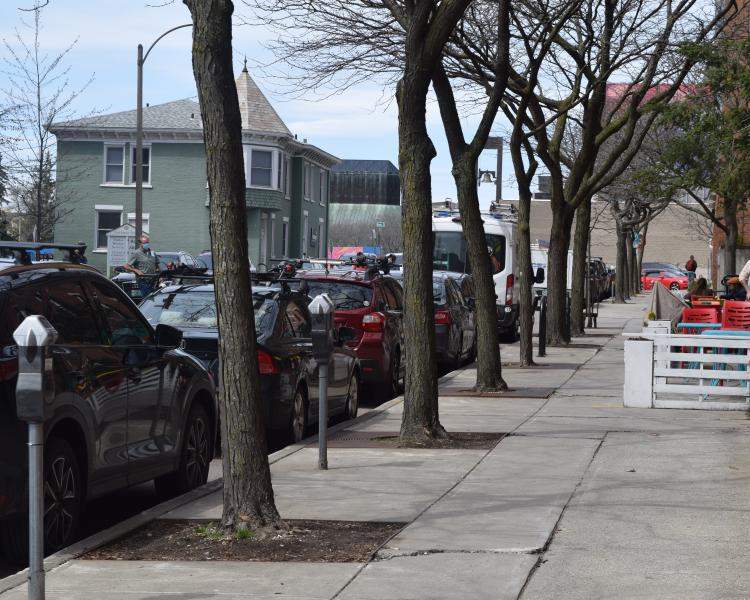 Trees on sidewalk in Burlington