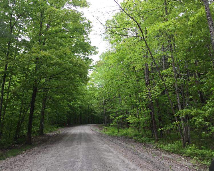 Rural road in East Montpelier