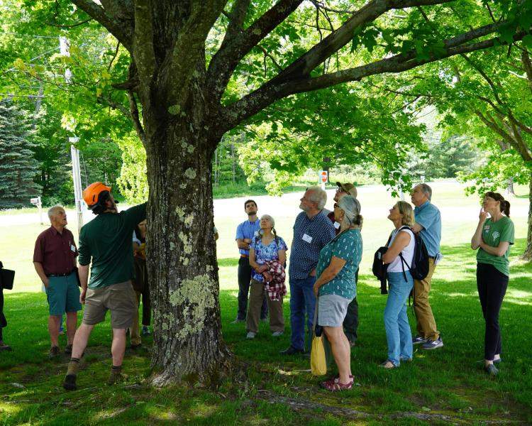 Urban & Community Forestry Conference, Pruning Workshop