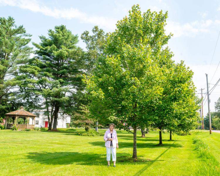 Jane Brown in Waterbury standing next to a tree planted through a UCF grant
